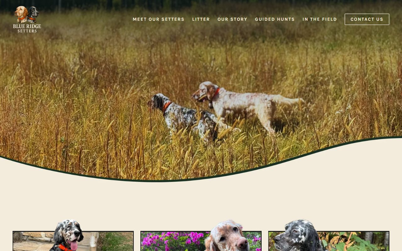 The Blue Ridge Setters website
